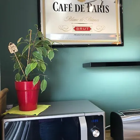 Bedinreims Luxe Wonderful Calm In Center, Ideal For 2 Adults And 3 Children Free Parking * 랭스