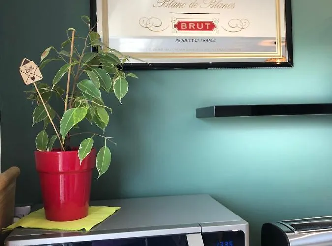 Bedinreims Luxe Wonderful Calm In Center, Ideal For 2 Adults And 3 Children Free Parking * 兰斯